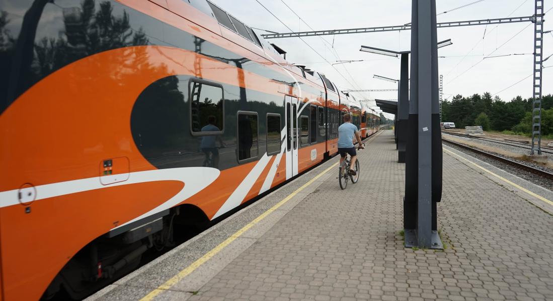 Elroni ratta ja rongi kombineerimise arvamusuuring