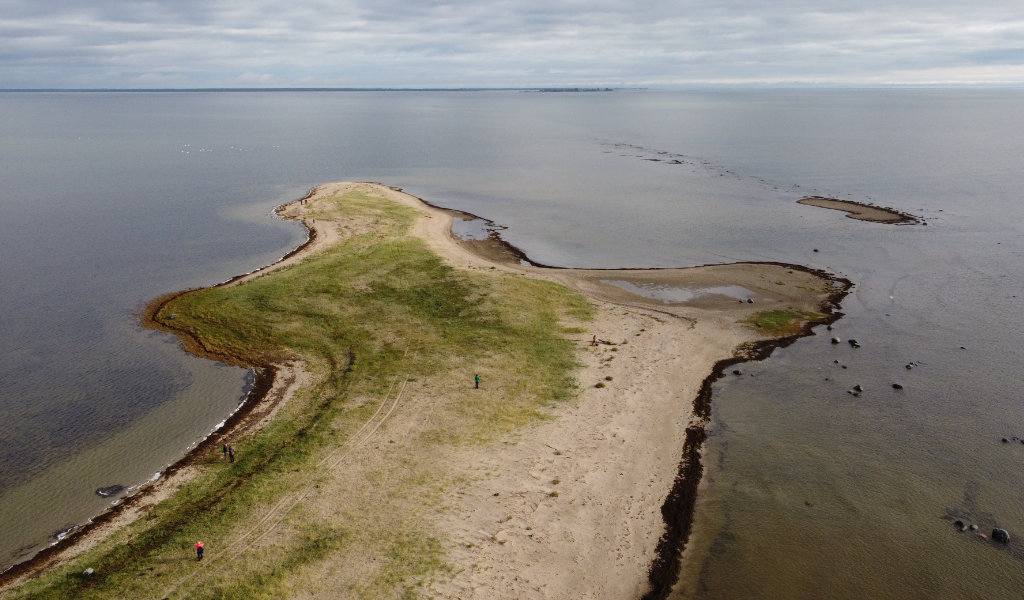 Maa-ameti digitaalsete kaardirakenduste uuring